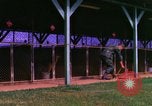 Image of K-9 sentry dogs Phu Cat Air Base Vietnam, 1969, second 7 stock footage video 65675028491