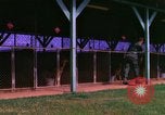 Image of K-9 sentry dogs Phu Cat Air Base Vietnam, 1969, second 8 stock footage video 65675028491