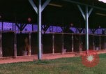 Image of K-9 sentry dogs Phu Cat Air Base Vietnam, 1969, second 15 stock footage video 65675028491