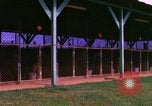 Image of K-9 sentry dogs Phu Cat Air Base Vietnam, 1969, second 22 stock footage video 65675028491