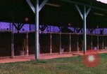 Image of K-9 sentry dogs Phu Cat Air Base Vietnam, 1969, second 25 stock footage video 65675028491