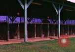 Image of K-9 sentry dogs Phu Cat Air Base Vietnam, 1969, second 30 stock footage video 65675028491