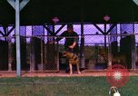 Image of K-9 sentry dogs Phu Cat Air Base Vietnam, 1969, second 34 stock footage video 65675028491