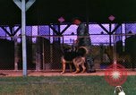 Image of K-9 sentry dogs Phu Cat Air Base Vietnam, 1969, second 37 stock footage video 65675028491