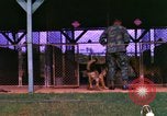 Image of K-9 sentry dogs Phu Cat Air Base Vietnam, 1969, second 38 stock footage video 65675028491
