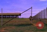 Image of K-9 sentry dogs Phu Cat Air Base Vietnam, 1969, second 45 stock footage video 65675028491