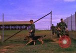 Image of K-9 sentry dogs Phu Cat Air Base Vietnam, 1969, second 61 stock footage video 65675028491