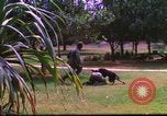 Image K-9 Sentry Dog Training Phu Cat Base aérienne Vietnam, 1969, de la seconde 6 séquences d'archives historiques vidéo 65675028492