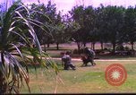 Image K-9 Sentry Dog Training Phu Cat Base aérienne Vietnam, 1969, de la seconde 11 séquences d'archives historiques vidéo 65675028492