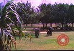 Image K-9 Sentry Dog Training Phu Cat Base aérienne Vietnam, 1969, de la seconde 13 séquences d'archives historiques vidéo 65675028492