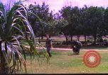 Image K-9 Sentry Dog Training Phu Cat Base aérienne Vietnam, 1969, de la seconde 15 séquences d'archives historiques vidéo 65675028492