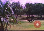 Image K-9 Sentry Dog Training Phu Cat Base aérienne Vietnam, 1969, de la seconde 17 séquences d'archives historiques vidéo 65675028492