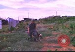 Image K-9 Sentry Dog Training Phu Cat Base aérienne Vietnam, 1969, de la seconde 19 séquences d'archives historiques vidéo 65675028492