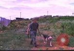 Image K-9 Sentry Dog Training Phu Cat Base aérienne Vietnam, 1969, de la seconde 21 séquences d'archives historiques vidéo 65675028492