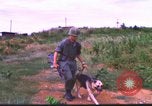 Image K-9 Sentry Dog Training Phu Cat Base aérienne Vietnam, 1969, de la seconde 22 séquences d'archives historiques vidéo 65675028492