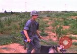 Image K-9 Sentry Dog Training Phu Cat Base aérienne Vietnam, 1969, de la seconde 24 séquences d'archives historiques vidéo 65675028492