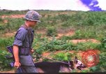 Image K-9 Sentry Dog Training Phu Cat Base aérienne Vietnam, 1969, de la seconde 26 séquences d'archives historiques vidéo 65675028492