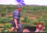 Image K-9 Sentry Dog Training Phu Cat Base aérienne Vietnam, 1969, de la seconde 27 séquences d'archives historiques vidéo 65675028492