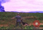 Image K-9 Sentry Dog Training Phu Cat Base aérienne Vietnam, 1969, de la seconde 31 séquences d'archives historiques vidéo 65675028492