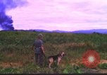 Image K-9 Sentry Dog Training Phu Cat Base aérienne Vietnam, 1969, de la seconde 33 séquences d'archives historiques vidéo 65675028492