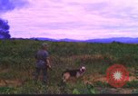 Image K-9 Sentry Dog Training Phu Cat Base aérienne Vietnam, 1969, de la seconde 36 séquences d'archives historiques vidéo 65675028492