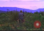 Image K-9 Sentry Dog Training Phu Cat Base aérienne Vietnam, 1969, de la seconde 43 séquences d'archives historiques vidéo 65675028492