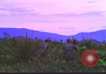 Image K-9 Sentry Dog Training Phu Cat Base aérienne Vietnam, 1969, de la seconde 45 séquences d'archives historiques vidéo 65675028492