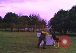 Image of K-9 sentry dogs Phu Cat Air Base Vietnam, 1969, second 4 stock footage video 65675028493