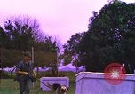 Image of K-9 sentry dogs Phu Cat Air Base Vietnam, 1969, second 9 stock footage video 65675028493