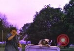 Image of K-9 sentry dogs Phu Cat Air Base Vietnam, 1969, second 10 stock footage video 65675028493