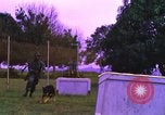 Image of K-9 sentry dogs Phu Cat Air Base Vietnam, 1969, second 18 stock footage video 65675028493