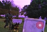 Image of K-9 sentry dogs Phu Cat Air Base Vietnam, 1969, second 19 stock footage video 65675028493