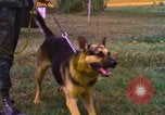 Image of K-9 sentry dogs Phu Cat Air Base Vietnam, 1969, second 34 stock footage video 65675028493
