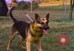 Image of K-9 sentry dogs Phu Cat Air Base Vietnam, 1969, second 36 stock footage video 65675028493
