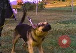 Image of K-9 sentry dogs Phu Cat Air Base Vietnam, 1969, second 37 stock footage video 65675028493