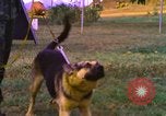 Image of K-9 sentry dogs Phu Cat Air Base Vietnam, 1969, second 38 stock footage video 65675028493