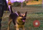 Image of K-9 sentry dogs Phu Cat Air Base Vietnam, 1969, second 39 stock footage video 65675028493