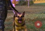 Image of K-9 sentry dogs Phu Cat Air Base Vietnam, 1969, second 41 stock footage video 65675028493