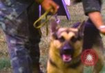 Image of K-9 sentry dogs Phu Cat Air Base Vietnam, 1969, second 42 stock footage video 65675028493