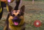 Image of K-9 sentry dogs Phu Cat Air Base Vietnam, 1969, second 45 stock footage video 65675028493