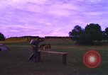Image of K-9 sentry dogs Phu Cat Air Base Vietnam, 1969, second 55 stock footage video 65675028493
