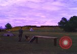 Image of K-9 sentry dogs Phu Cat Air Base Vietnam, 1969, second 61 stock footage video 65675028493
