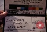 Image of sentry dogs Tan Son Nhut Air Force Base Vietnam, 1965, second 1 stock footage video 65675028494
