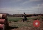 Image of sentry dogs Tan Son Nhut Air Force Base Vietnam, 1965, second 42 stock footage video 65675028494