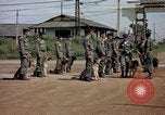 Immagine di Cani sentinella Tan Son Nhut Air Force Base Vietnam, 1965, secondo 44 filmato di repertorio 65675028496
