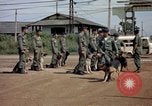 Immagine di Cani sentinella Tan Son Nhut Air Force Base Vietnam, 1965, secondo 46 filmato di repertorio 65675028496