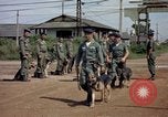 Immagine di Cani sentinella Tan Son Nhut Air Force Base Vietnam, 1965, secondo 48 filmato di repertorio 65675028496