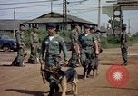Immagine di Cani sentinella Tan Son Nhut Air Force Base Vietnam, 1965, secondo 49 filmato di repertorio 65675028496