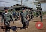 Immagine di Cani sentinella Tan Son Nhut Air Force Base Vietnam, 1965, secondo 50 filmato di repertorio 65675028496