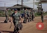 Immagine di Cani sentinella Tan Son Nhut Air Force Base Vietnam, 1965, secondo 51 filmato di repertorio 65675028496